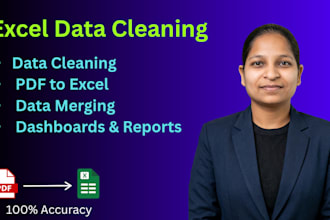 clean, format and prepare excel data for analysis