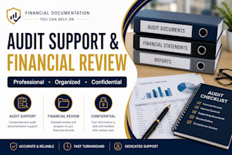 provide professional audit support and financial review services