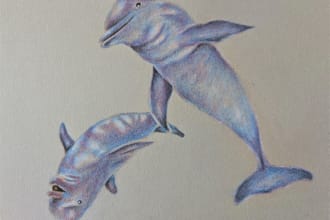 draw a subject for you with colored pencils
