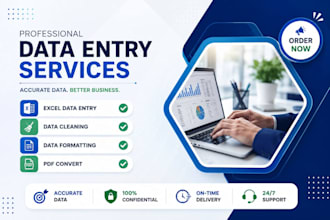 data entry, cleaning, formatting,  pdf to conversion