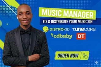 fix music distribution issues, spotify music promotion and music metadata, isrc