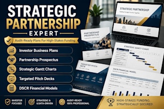 write a strategic business plan and investor pitch deck