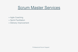 act as a professional scrum master for your agile team