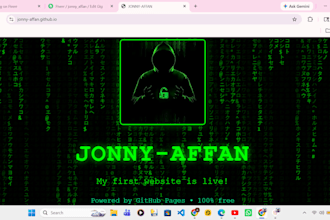 create a proffessional website