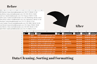 clean, format and analyse data in excel