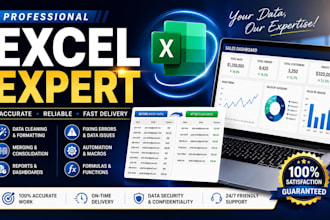 clean, organize and format excel spreadsheets