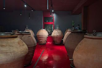 write expert italian food and wine content in english