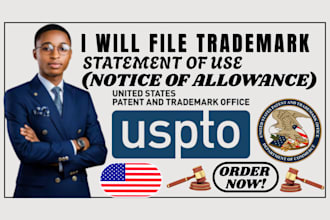 file US trademark notice of allowance or statement of use