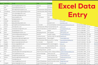 data entry and excel expert