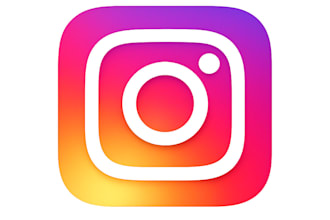 manage your instagram,reply to dms and bussines promotion