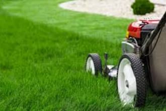 cut your field grass with lawn machine and hopper