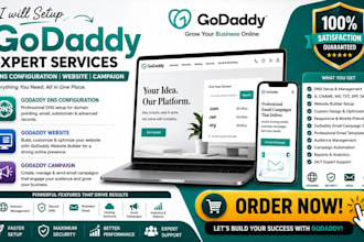 setup godaddy dns configuration godaddy website godaddy email camapign