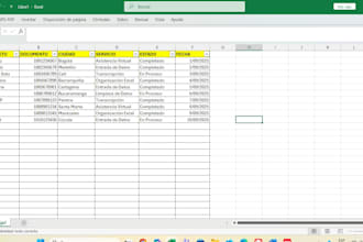 organizo y limpio tus datos en excel rápido y profesional