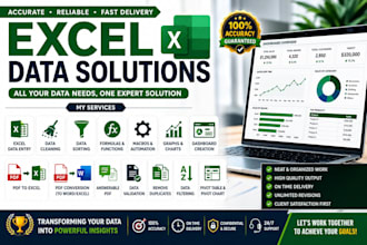 provide professional microsoft excel service