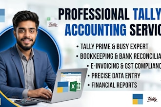 do professional tally accounting bookkeeping and data entry