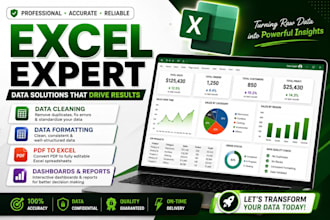 clean, format and organize excel data professionally