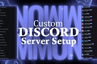 setup a professional custom discord server