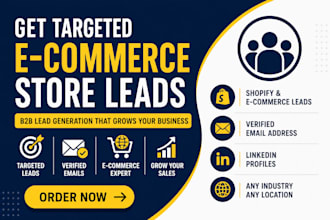 provide b2b lead generation and ecommerce store leads for your business