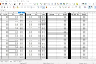 build a custom excel payroll or financial tracking spreadsheet