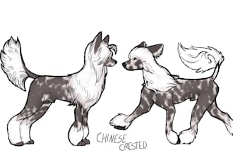 illustrate your pet or character