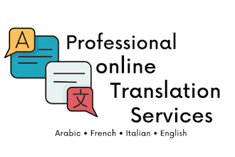 provide professional multilingual translation