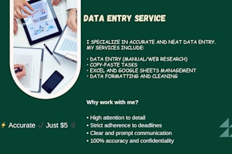 provide accurate and fast data entry services