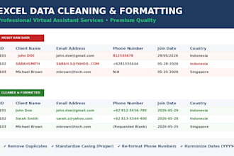 do excel data cleaning, remove duplicates, and fix formatting