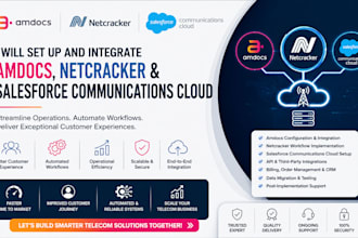 set up amdocs, netcracker, and salesforce communications cloud