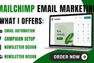 setup email marketing, workflow, campaign on mailchimp, omnisend, klaviyo, brevo