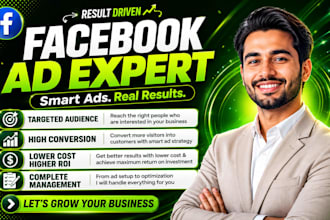 setup and manage facebook ads campaign professionally