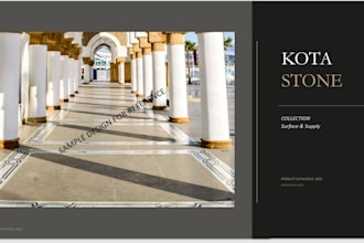design a professional product catalogue and poster for you