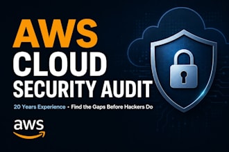 do a professional AWS cloud security audit and risk assessment