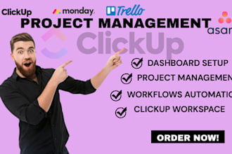 create a professional clickup workspace for project and team management