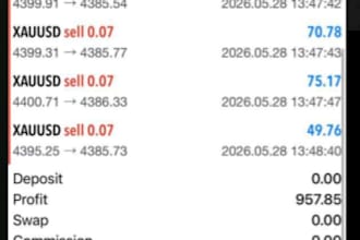 xauusd ea bot forex trading bot gold ea robot scalping trading ea bot gold robot