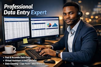 proficiently analyze, verify and enter data