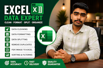 do data cleaning, data formatting, split data in excel