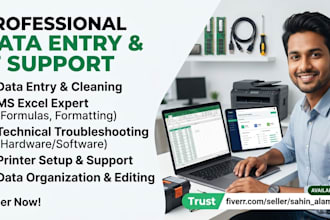 do professional data entry, excel formatting, and IT support