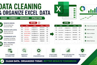 do excel data cleaning formatting and spreadsheet cleanup