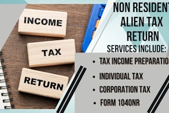 prepare form 1040nr income tax return for non resident alien llc owners