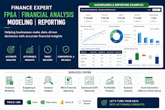 provide fpa, budgeting, forecasting and financial insights