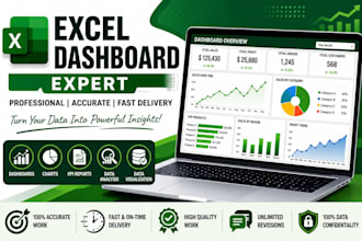 create professional excel dashboard and reports
