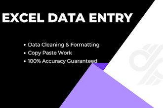 do expert data entry and excel data cleaning