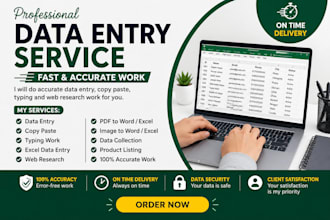 do accurate data entry, copy paste and typing work