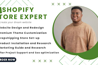 build shopify website, design or redesign shopify store, dropshipping store