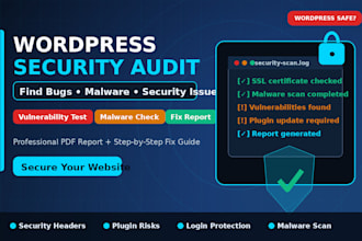 do a security audit and bug testing for your wordpress website