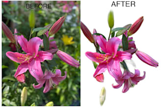 edit you photos remove background lighten main subject