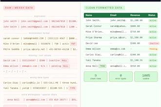 clean and organize your messy excel data