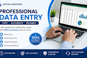 do professional data entry and virtual assistant tasks