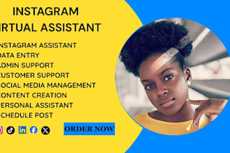be instagram virtual assistant virtual assistant social media admin assistant