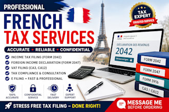 help with french income tax declaration form 2042 vat filing and tax compliance